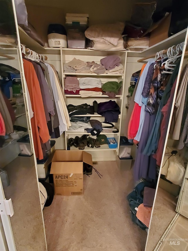 1441 Marie Dr, Gooding, ID 83330 - view of spacious closet