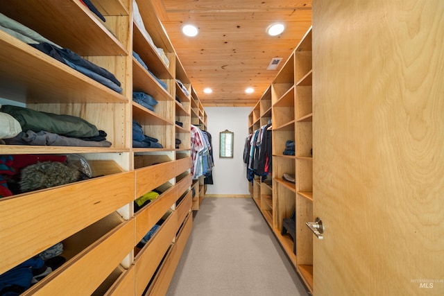 walk in closet with light carpet