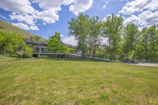 view of grassy yard featuring a patio
