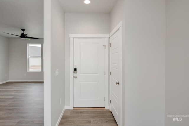 foyer with light hardwood / wood-style flooring and ceiling fan