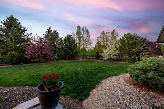 view of yard at dusk