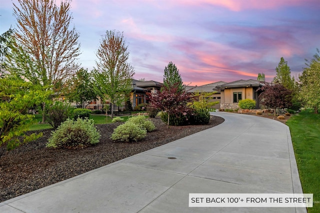 single story home featuring curved driveway and stucco siding