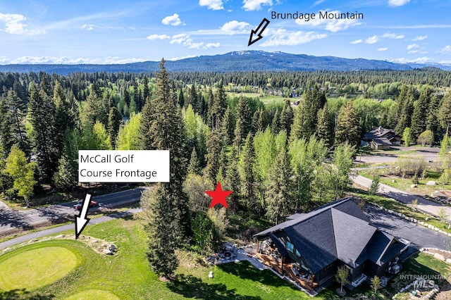 1000 Violet Way, Mccall ID, 83638 land for sale