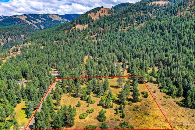 142 Wagon Wheel Ln, White Bird ID, 83554 land for sale