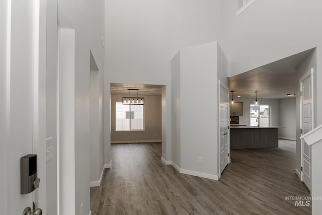 14761 N Ninja Way, Nampa, ID 83651 - hallway featuring dark wood-style floors, a towering ceiling, baseboards, and a sink