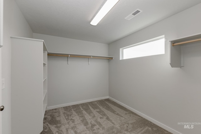 14761 N Ninja Way, Nampa, ID 83651 - spacious closet with visible vents and carpet flooring