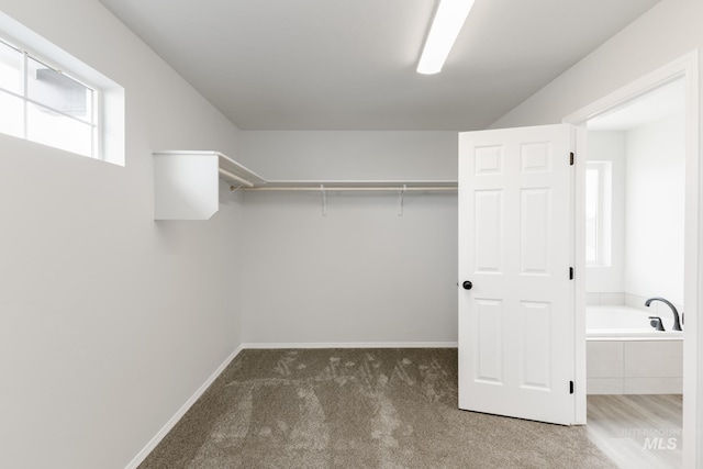 14761 N Ninja Way, Nampa, ID 83651 - spacious closet featuring carpet floors