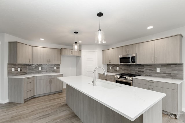 14761 N Ninja Way, Nampa, ID 83651 - kitchen featuring a sink, light countertops, light wood-style flooring, and stainless steel appliances