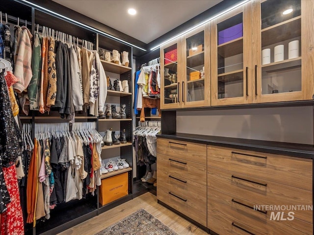 walk in closet featuring light wood-style flooring