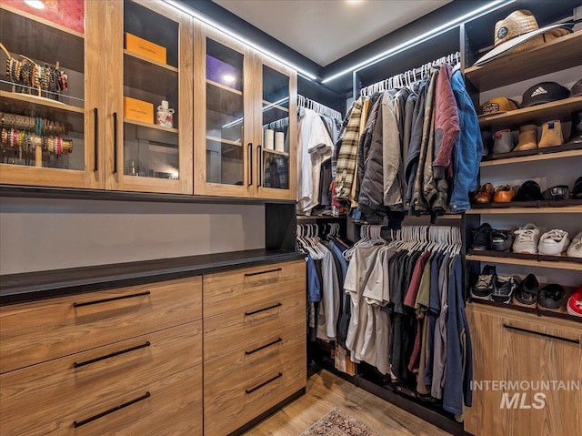 spacious closet with light wood-style flooring