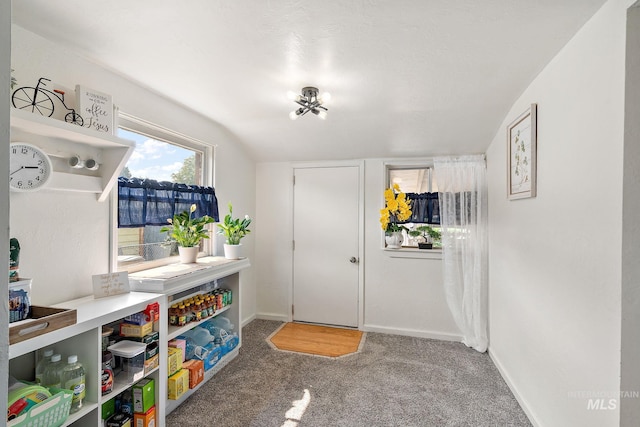 game room featuring lofted ceiling and carpet floors