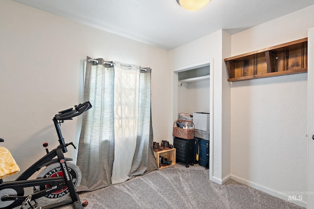 exercise room with carpet flooring