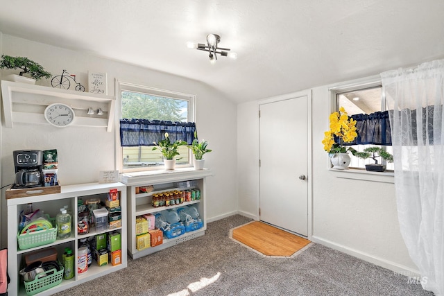 rec room featuring lofted ceiling and carpet floors