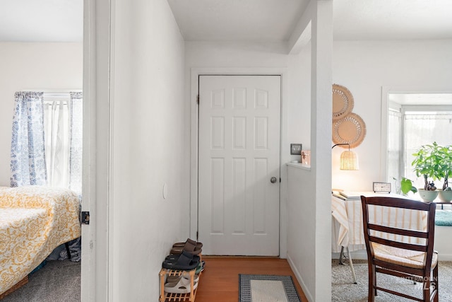 entryway featuring hardwood / wood-style floors and plenty of natural light