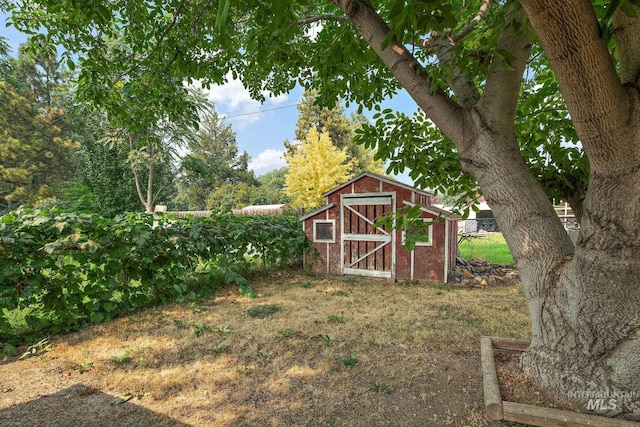 view of yard with a shed