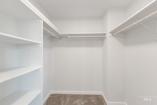 2365 W Opalite Dr, Kuna, ID 83634 - walk in closet featuring carpet floors