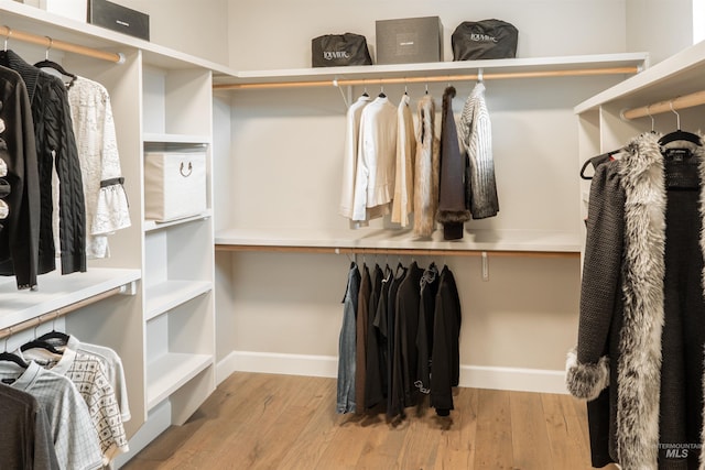 spacious closet featuring wood finished floors