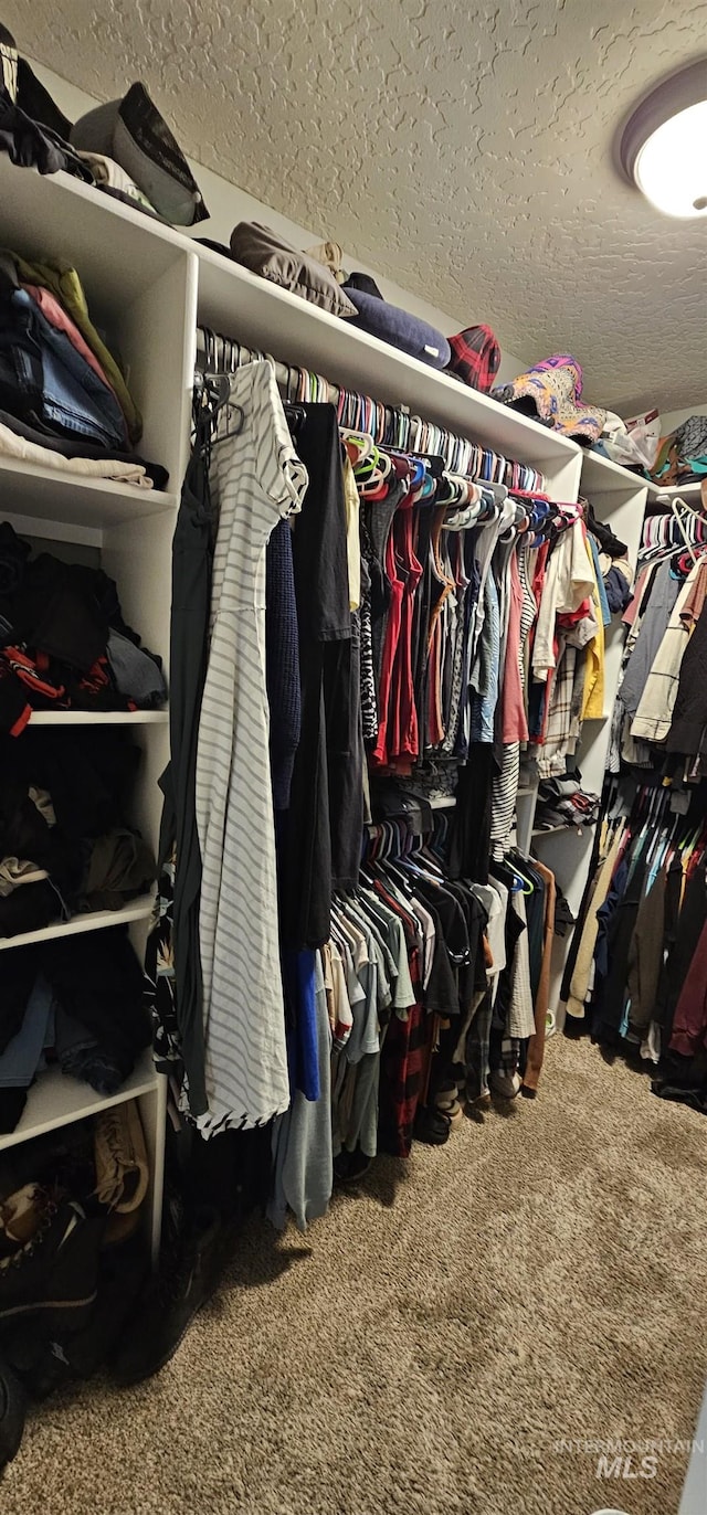 1122 N Roper Pl, Meridian, ID 83642 - walk in closet featuring carpet flooring