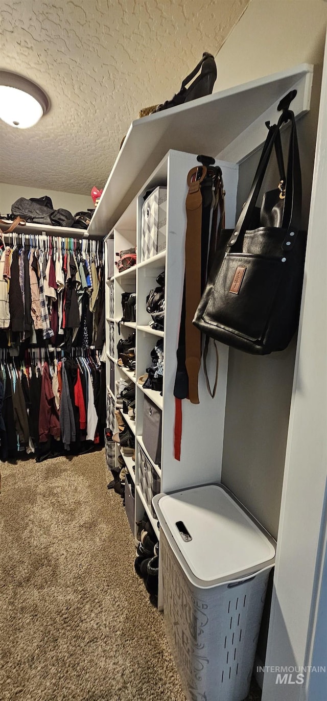 1122 N Roper Pl, Meridian, ID 83642 - walk in closet with carpet