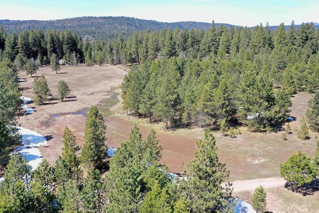 TBD Moon Dr, Mccall, ID 83638