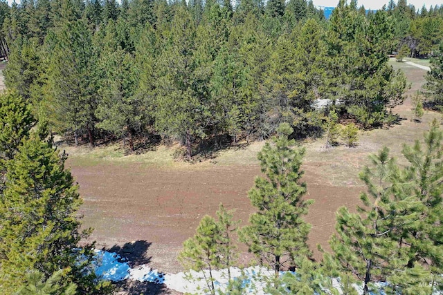 TBD Moon Dr, Mccall, ID 83638