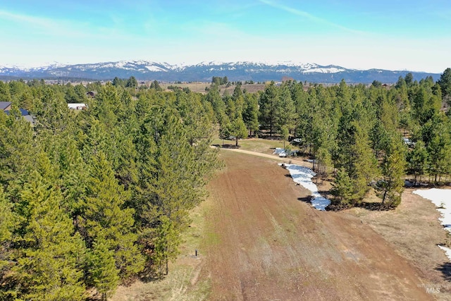 TBD Moon Dr, Mccall, ID 83638