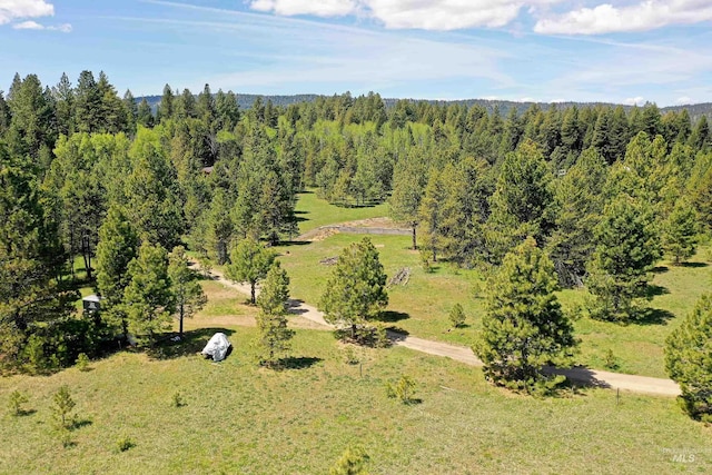 TBD Moon Dr, Mccall, ID 83638