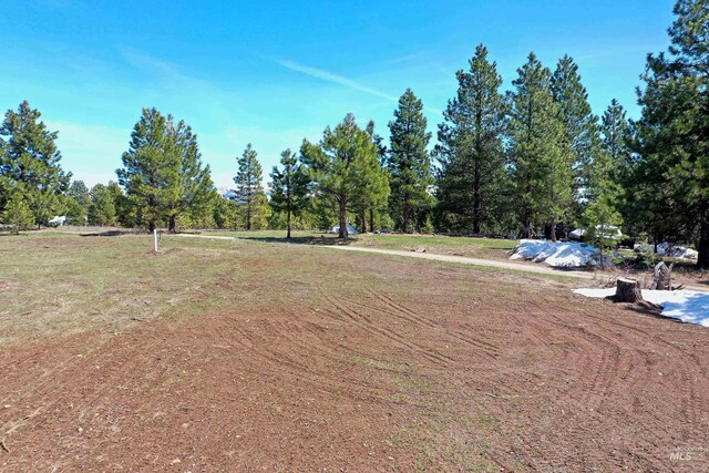 TBD Moon Dr, Mccall, ID 83638