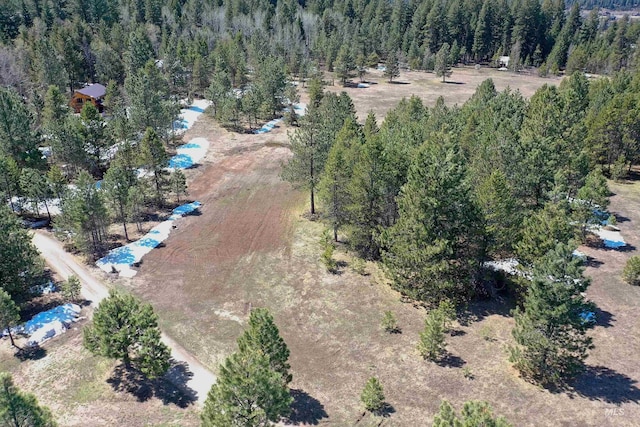 TBD Moon Dr, Mccall, ID 83638