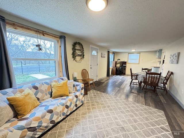 living room featuring a textured ceiling and hardwood / wood-style flooring