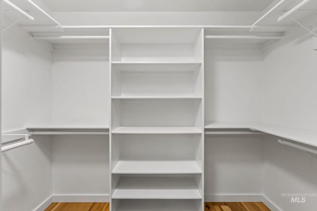 spacious closet featuring wood finished floors
