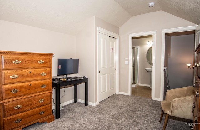 interior space with lofted ceiling, a textured ceiling, and light carpet