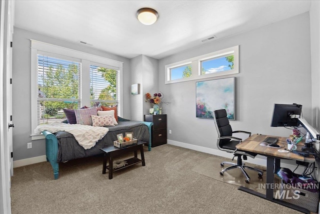 92 S Wildgrass Way, Star, ID 83669 - bedroom with light carpet, an office area, and baseboards