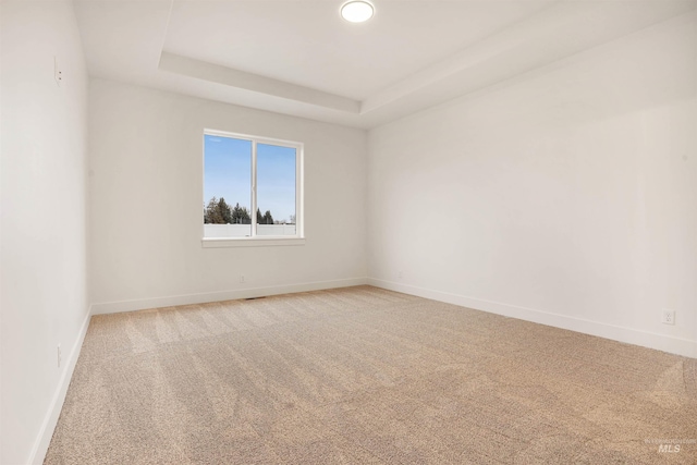 empty room with a raised ceiling and light colored carpet