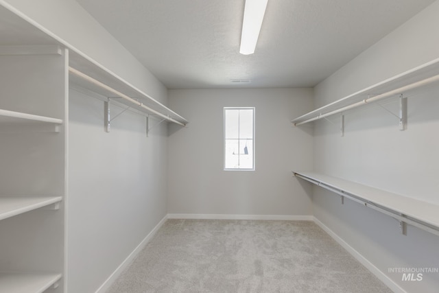 3121 S Carie Ave, Boise, ID 83709 - spacious closet with carpet