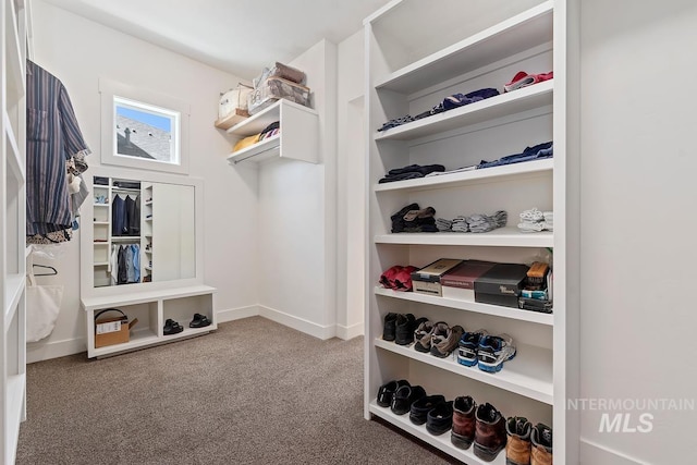 6706 Big Wood Way, Star, ID 83669 - walk in closet featuring carpet flooring