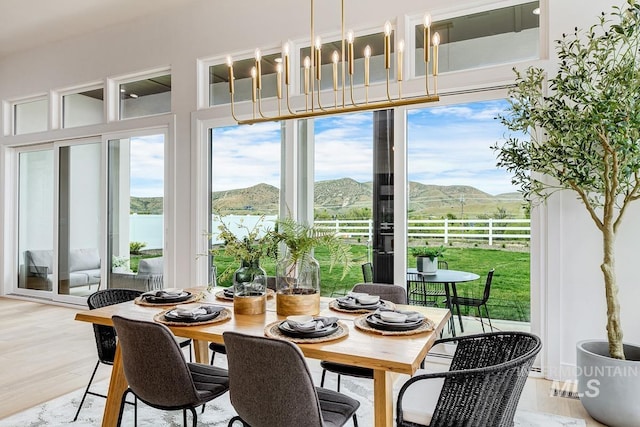 dining room featuring a mountain view, light wood-style flooring, and plenty of natural light