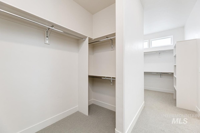 spacious closet with carpet floors