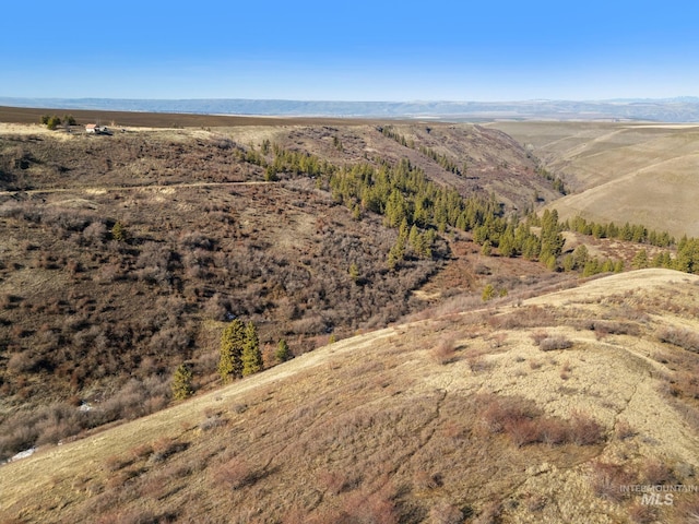 view of mountain feature