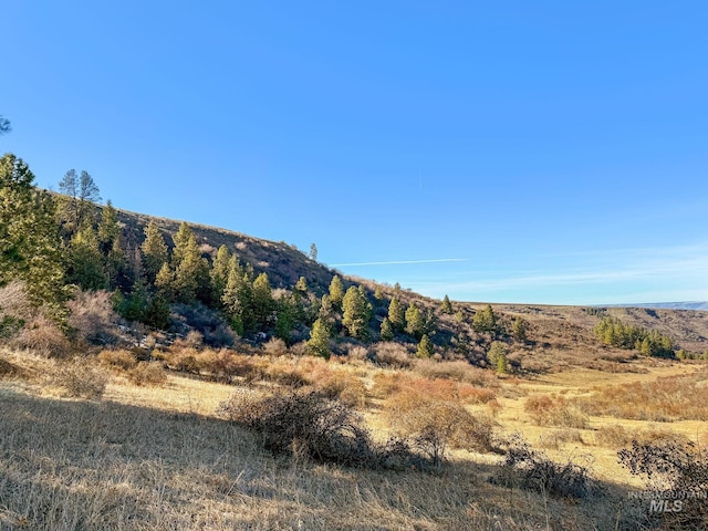 view of mountain feature