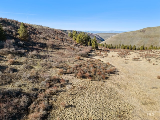 view of mountain feature