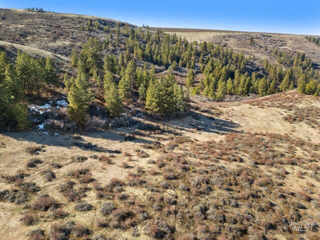 37607 Webb Ridge Rd, Lapwai, ID 83540 - view of mountain background