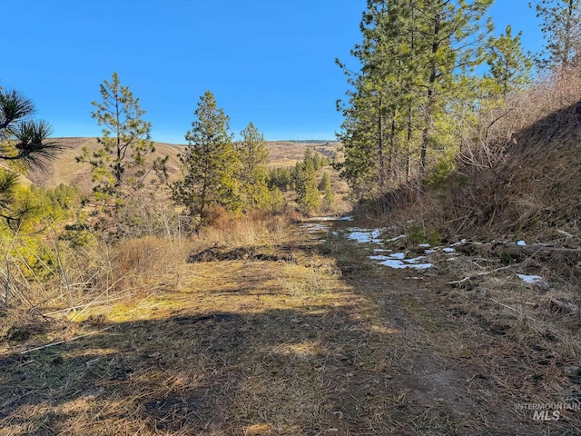 37607 Webb Ridge Rd, Lapwai, ID 83540 - view of nature