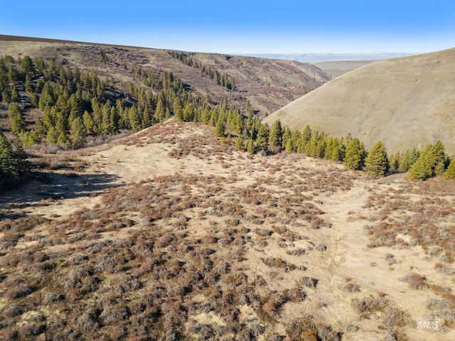 37607 Webb Ridge Rd, Lapwai, ID 83540 - view of mountain background