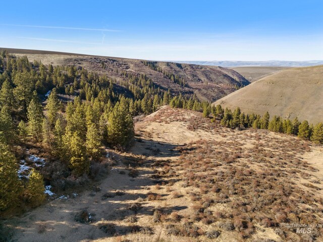 37607 Webb Ridge Rd, Lapwai, ID 83540 - view of mountain background