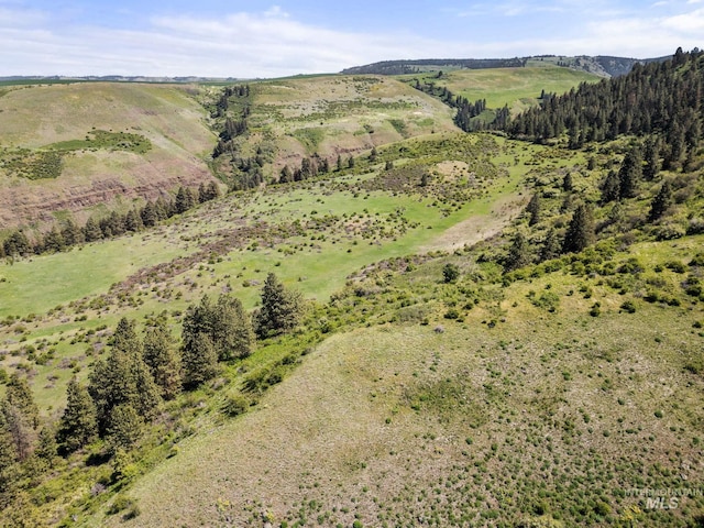 37607 Webb Ridge Rd, Lapwai, ID 83540 - drone / aerial view of a mountain backdrop