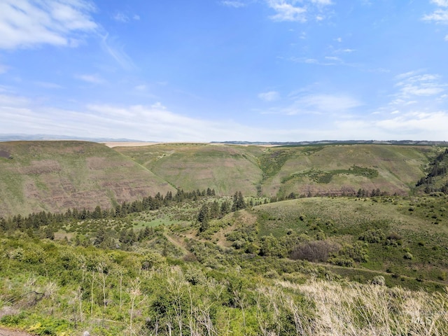 37607 Webb Ridge Rd, Lapwai, ID 83540 - mountain view