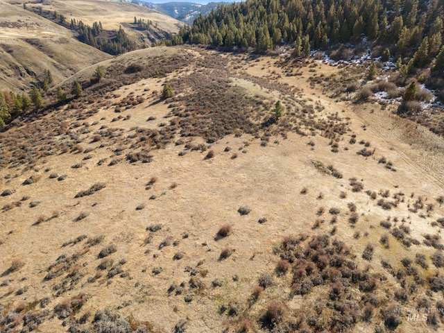 view of mountain feature