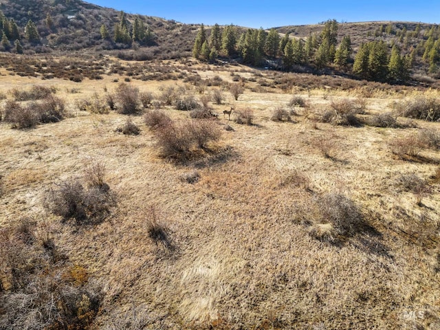 view of mountain feature