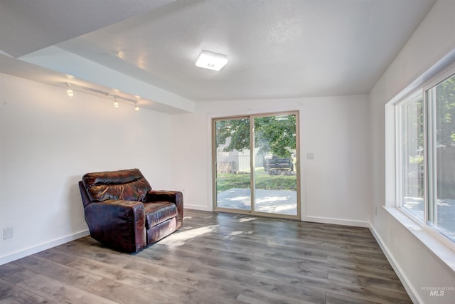 living area featuring rail lighting, a wealth of natural light, and hardwood / wood-style flooring